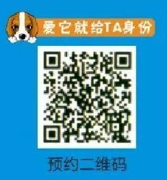 严查！北仑限制养犬范围公布！如何给狗狗上户口