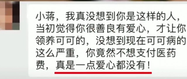 你以为你救助的猫咪正在被爱心喂养吗揭秘黑心云救助